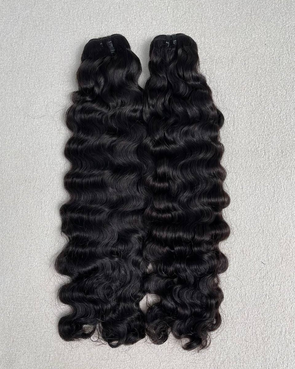 Burmese Curly